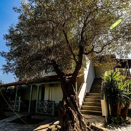 Casa Luxury Παλιούρι